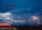 Lightning Stalker